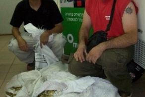 Угадайте - что происходит? (9 фото)