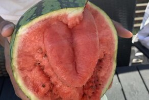 15 природных находок, которые выглядят очень любопытно 