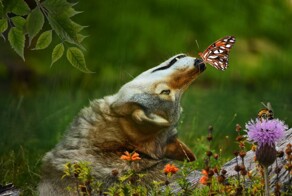 Всем привет. Просто гифки, всякие и&nbsp;разные