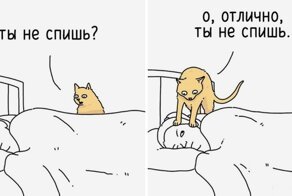 16 зверокомиксов, которые наглядно покажут, о чём бы толковали звери, если бы овладели речью