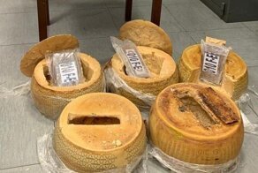 Итальянские наркодилеры перевозили 125 кг кокаина в головках пармезана и попались