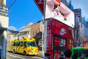 Снимки из Японии, которые доказывают, что эта страна не похожа ни на одну другую