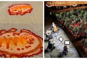 17 занимательных изображений любопытных редкостей