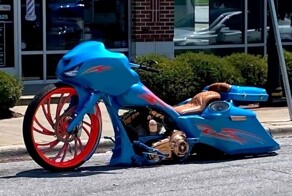 Мотовсячина