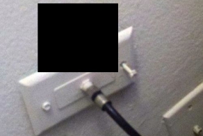 Нежданный гость проник в квартиру через розетку (4 фото)