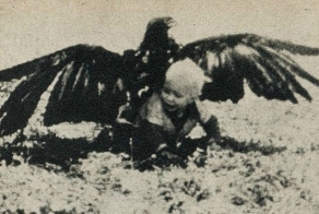 Орел - это аист наоборот (3 фото)