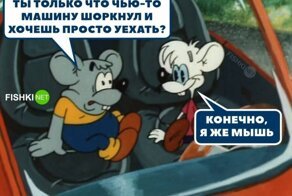 Подборка юмора для автолюбителей