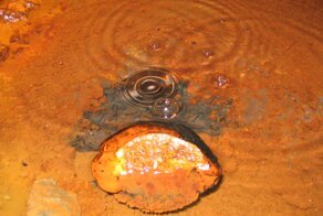 "Невкусная": учёные выпили воду, которой миллиарды лет, и рассказали о своих ощущениях