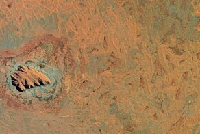 Как люди осваивают и разрушают планету