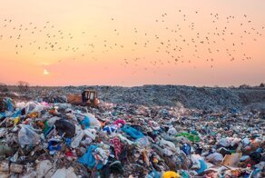 25 фактов о пластиковом загрязнении, которые пугают не на шутку