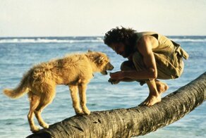 История о том, как дебошира бросили на необитаемом острове, но не учли шотландский характер. 4,5 года среди коз и котов