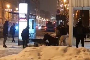 В центре Москвы на Маяковке лошадь погибла от удара током