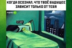 Комментарии и картинки из соцсетей. Свежак за 26 февраля