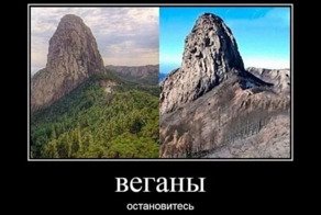 Демотиваторы: санкции, природа, работа