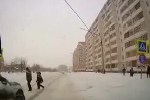 Жена хоккеиста "Северстали" сбила на переходе дедушку с ребёнком