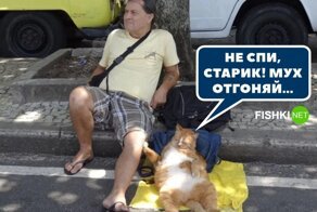 Фотоприколы и&nbsp;прикольные картинки