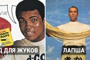 Доширак от Шварценеггера и штаны от Чака Норриса: какой была реклама со знаменитостями в прошлом