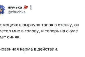 Мгновенная карма, которая показал людям кузькину мать