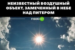В Петербурге и Ленобласти объявили план "Ковёр": реакция соцсетей