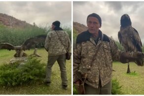 Видео из питомника, способное удивить