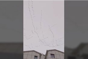 Странный полет гусей над Китаем