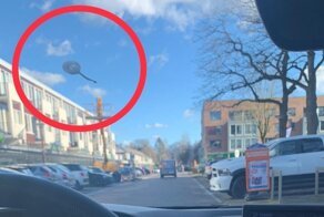 «Теперь Бокстел в безопасности!»: в Голландии полицейский гонялся за шаром-шпионом, пока не понял, что это птичий помёт на лобовом стекле