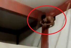 По следам Винни-Пуха: грабитель в Бразилии попытался пробраться в магазин, но застрял в дыре