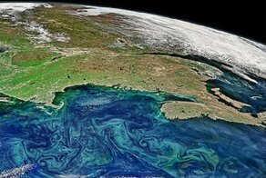 Спутник показал, как водоросли захватывают планету