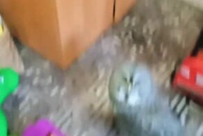 Отлично погуляли