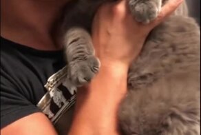 Когда ты немного злюка