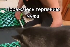 Вот это терпение 