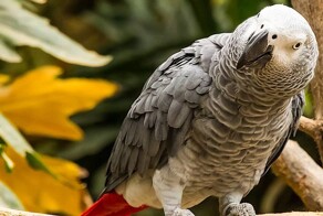 Я русский!!!⁠⁠