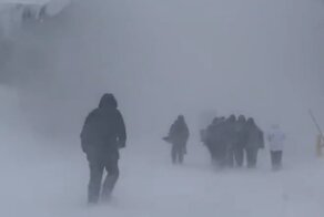На Калифорнию обрушился снежный шторм