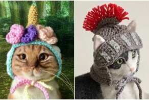 Художница своими руками делает шапочки для котеек