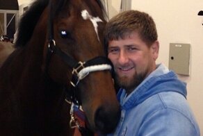 В Чехии украли племенного жеребца Рамзана Кадырова