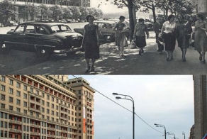 Когда-то деревья были большими (34 фото)