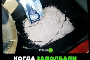Подборка автоприколов на пятницу