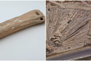 В Китае нашли древние коньки из костей животных