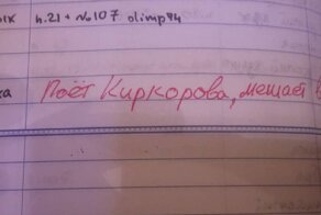 17 забавных замечаний в школьных дневниках