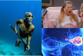 Крутые и малоизвестные факты о человеческом теле