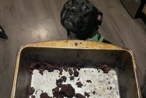 20 человек, чей день пошёл не по плану