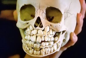 25 странных, мерзких и жутких фактов о человеческом теле
