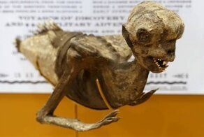 Странные, удивительные и интересные факты обо всём на свете