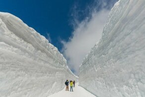 Туннель из снега: 16 фото о том, как выглядит самая снежная дорога планеты