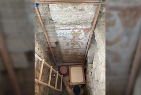 В Петербурге кот упал в шахту лифта с 15-го этажа