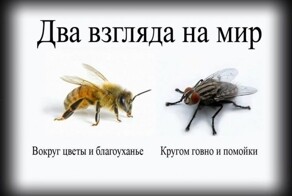 Странные вещи в странной стране