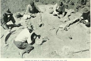 Индиана Джонс и кости драконов