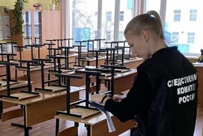 Родители изрезанной в Химках девочки потребовали от лицея 20 миллионов рублей
