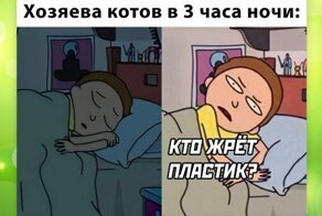 Комментарии и картинки из соцсетей. Свежак за 22 марта