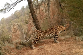 Доброе утро!